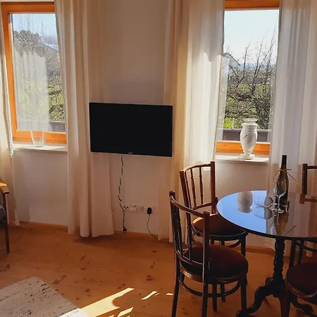 Apartment Aich21