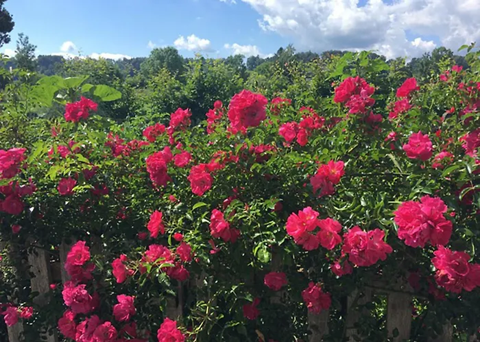 Aich21 Apartament Peißenberg